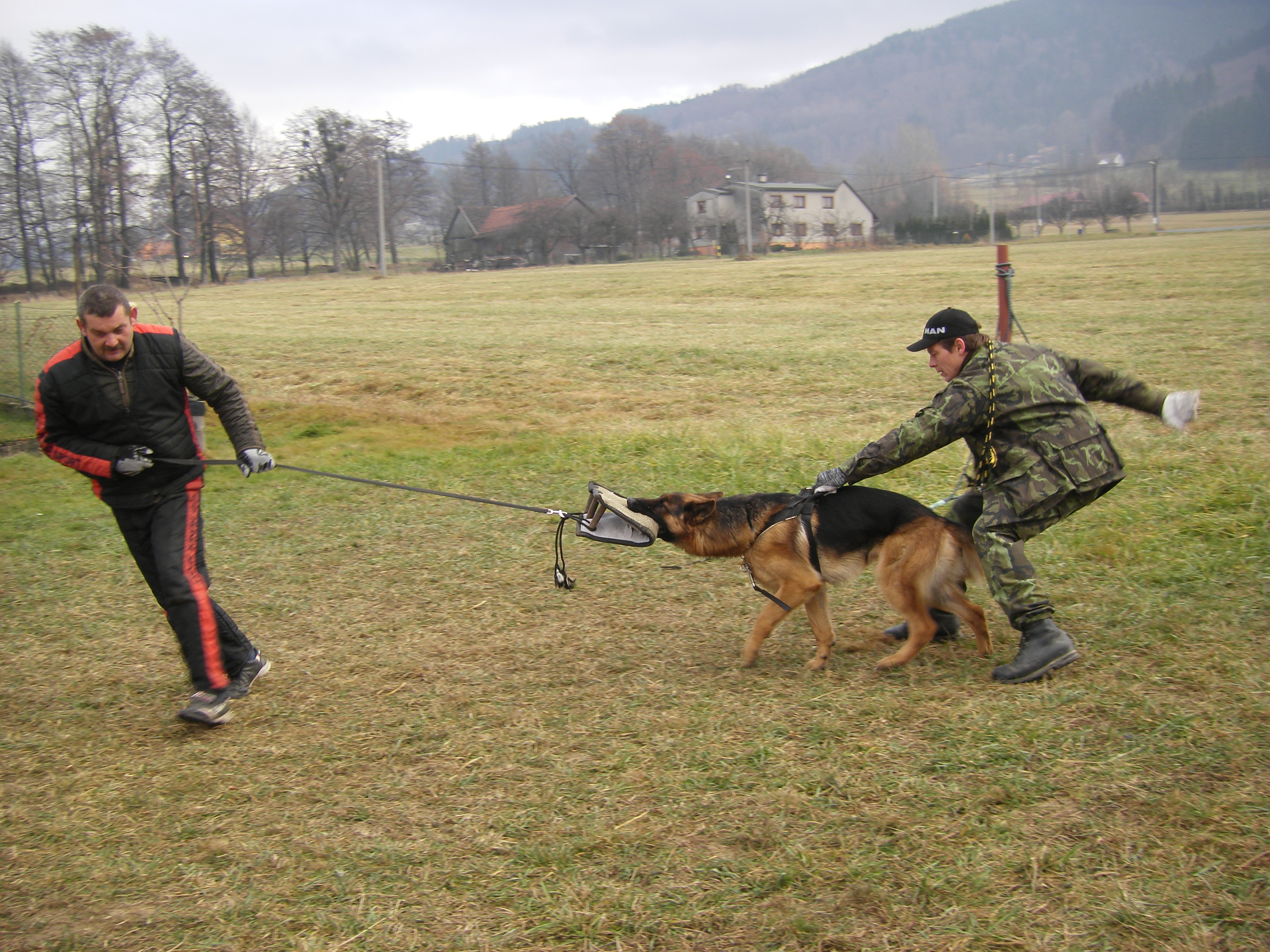 SOBOTA 3.12.2011 OBRANA 137