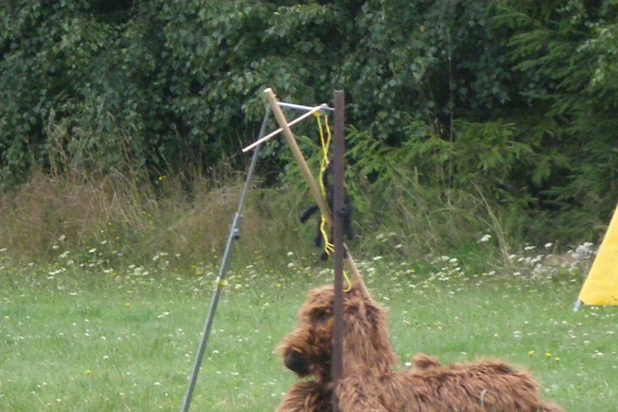 VĚTŘKOVICE 2011 388